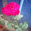 Ajay_Vizagpilagadu - @adam.laredo - TikTok