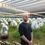 Laurent Adam-Larocque - @feurent - Instagram
