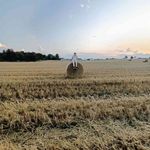 Adam Laser - @adamcio.l - Instagram