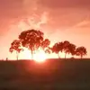 adam.laser - @adam.laser - TikTok