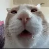 Adam Lasko - @adam.lasko - TikTok
