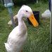Adam Lassiter - Facebook