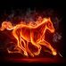 Adam Laster - Facebook