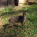 Adam Laur - Facebook