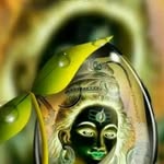 Lavanya Adam - @lavanya.adam.96 - Instagram