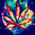 Adam Lemke - @adam.lemke.142 - Instagram
