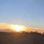 Adam Lemke - @adamlmk19 - Instagram