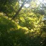 adam lemke - @adamlemke12 - Instagram