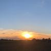 Adam.lemke - @adam.lemke - TikTok
