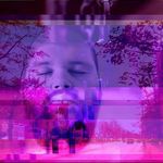 Adam Lenz - @aforestoftinytrees - Instagram