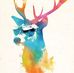 Adam Lenz - Facebook