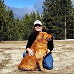Adam Lenz - @_adamlenz_ - Instagram