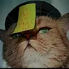 adam ling - @teehui6431 - TikTok