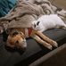 Adam Ling - Facebook