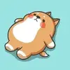 not_adam8 - @adamlippert6 - TikTok