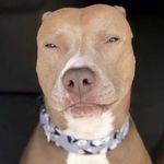 Adam Lockett III - @shehateadam - Instagram