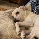 Adamlong67 - @adamlongman68 - Instagram