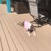 Adam Lowenstein - Facebook