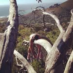 Adam Lowery - @madamflowery - Instagram