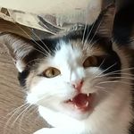 Adam Łoziński - @losiu11 - Instagram