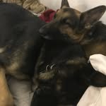 Adam MacDougall - @shattered3clipse - Instagram