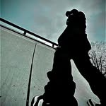 Adam Mace - @adammace55 - Instagram