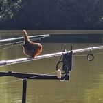 adam mace - @adz.carp - Instagram