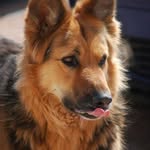 @adammacon - Instagram