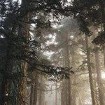 Adam Macrae - @coreyvargas67431077 - Instagram
