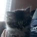 Adam MacLean - Facebook