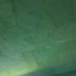 Adam Madani - @adam.madani.3979 - Instagram