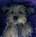 Adam Madej - Facebook