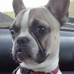Adam Madejski - @adam.madejski.31 - Instagram