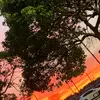 Adam M. - @adam.madison1 - TikTok