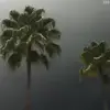 Madison - @madison.adams14 - TikTok