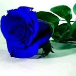 adam magas - @adam_magas12 - Instagram