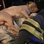 AdamMaggard - @amagg84 - Instagram