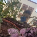 adam magic - @adam_magicc - Instagram