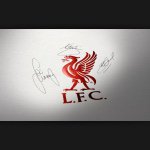 Adam - @adam.magill.96 - Instagram
