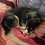 Adam_maier - @adam_maier6 - Instagram