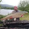 adammajcher36 - @adammajcher36 - TikTok