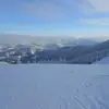adammajcherek2 - @adammajcherek2 - TikTok