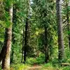 Adam Marcin - @adam.marcin - TikTok