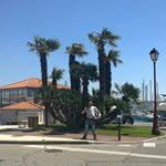 Adam Marczyk - @marczykadam - Instagram