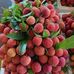 Adam Mariam - Facebook