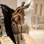 Mariam Adam - @mariam_adam45 - Instagram
