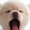 adammarkhamone - @adammarkhamone - TikTok