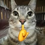 Adam - @adammasf - Instagram