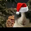 Adam Maska - @adam.maska3 - TikTok