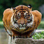 Adam Maskell™ - @adam.maskell - Instagram